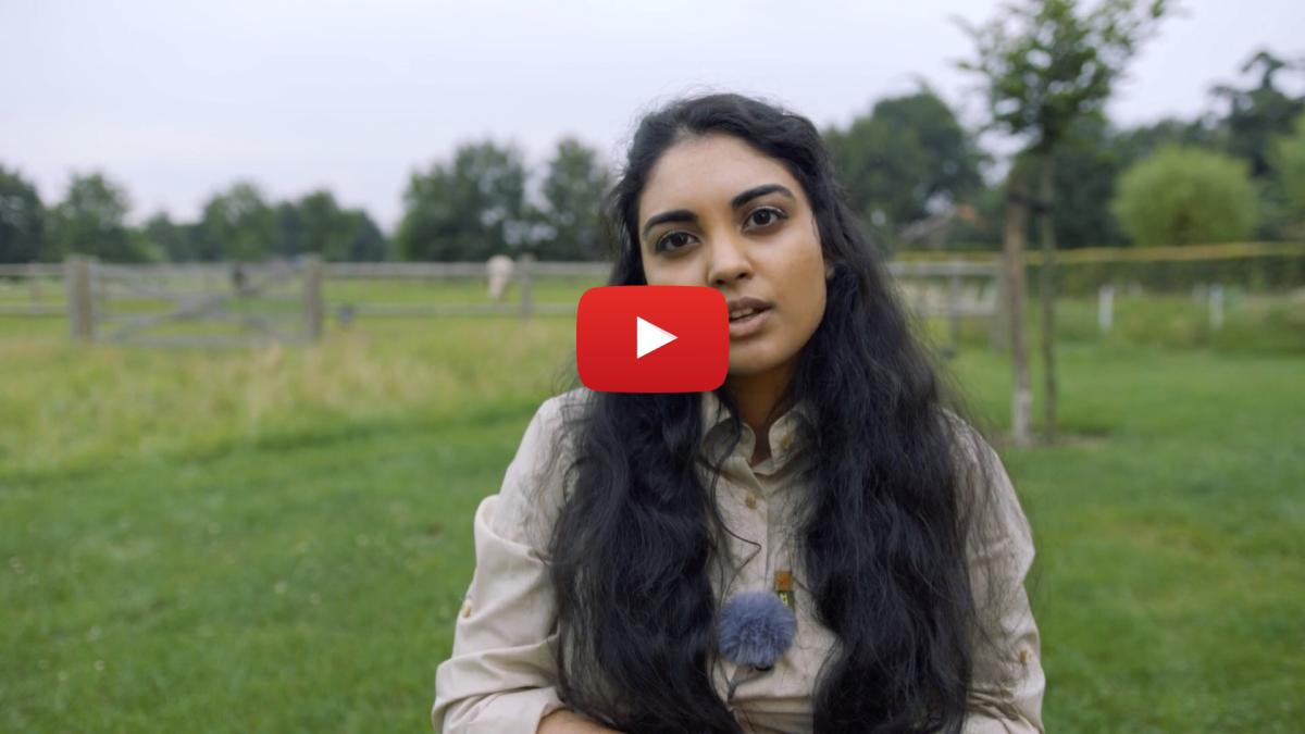 Wei verhuizen DEDICATED thumbnail